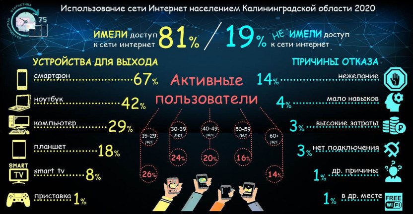 Использование сети Интернет населением Калининградской области 2020